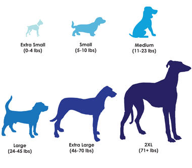 Dog Sizes