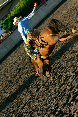 Rodeo Rider